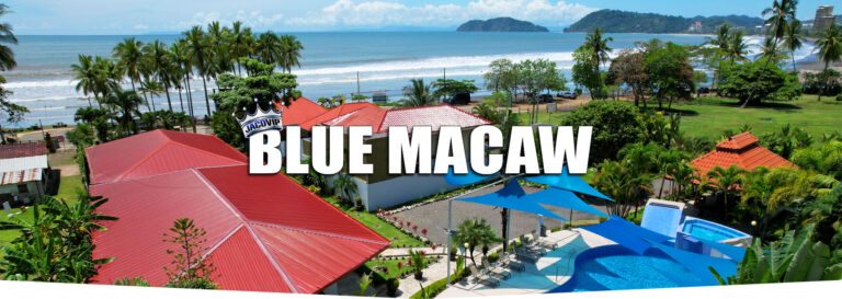 Blue Macaw Villas